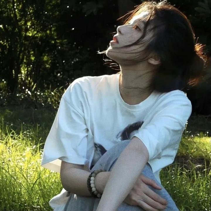 三个盗贼和狮子